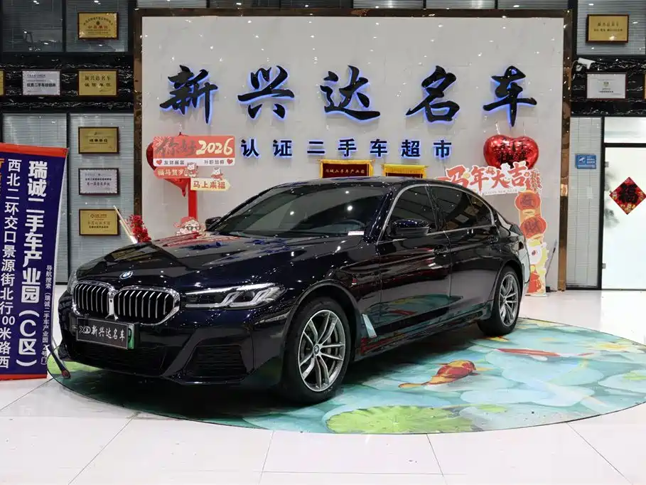 BMW 5 Series New Energy 2023