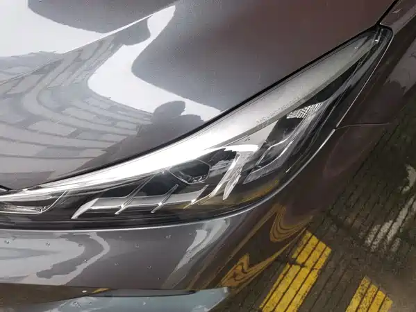 MG5 2021