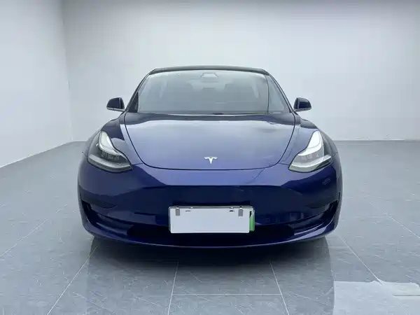 Tesla Model 3 2020
