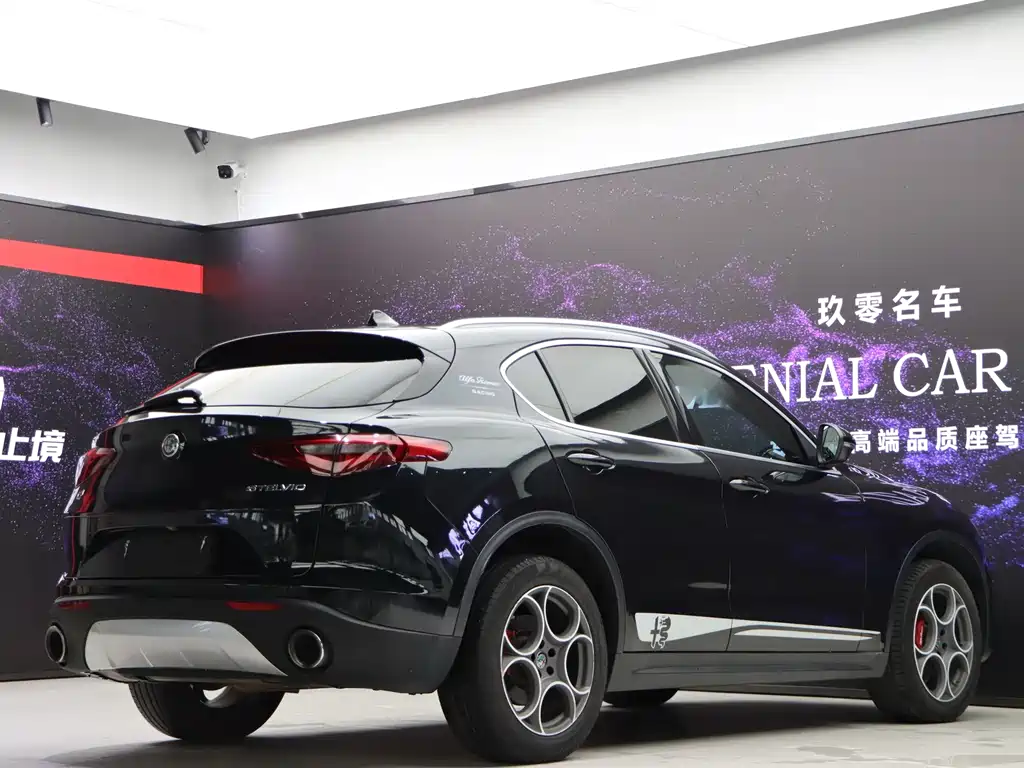 Alfa Romeo Stelvio 2020 — фото 6