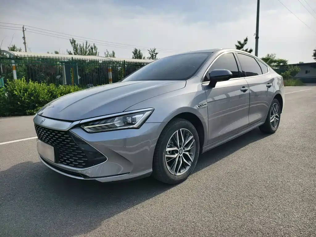 BYD Qin PLUS 2024 — фото 1