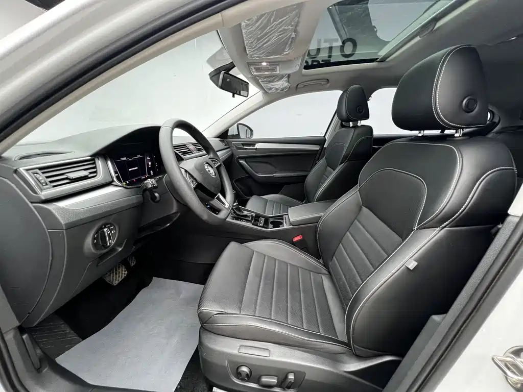 Skoda Speedy 2024