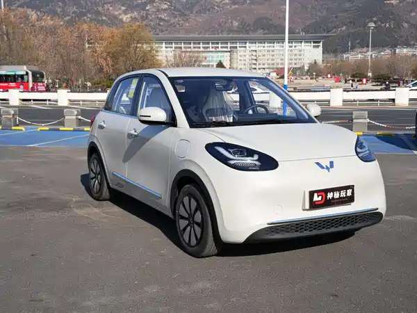 Wuling Bingo 2024