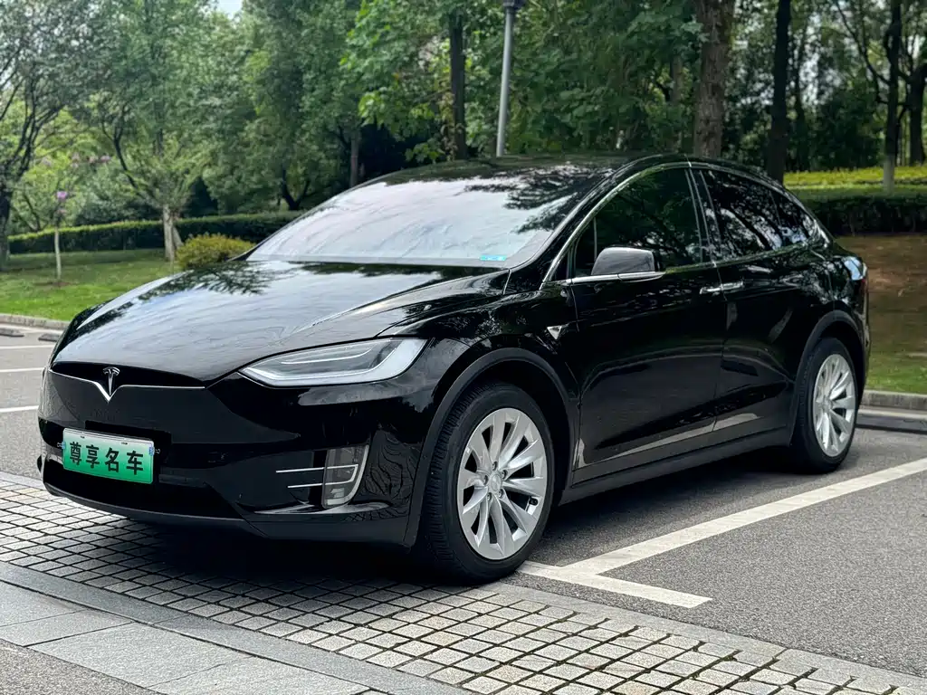 Tesla Model X 2019 — фото 1