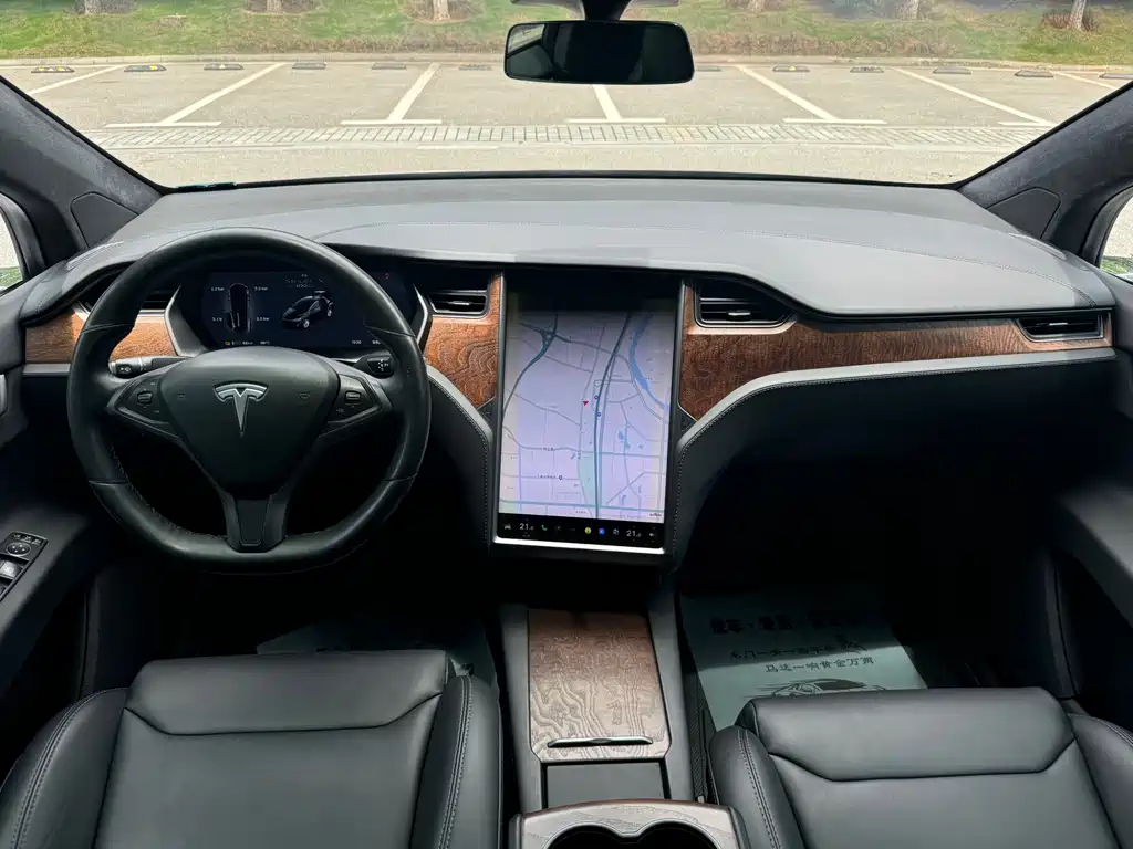 Tesla Model X 2019 — фото 10