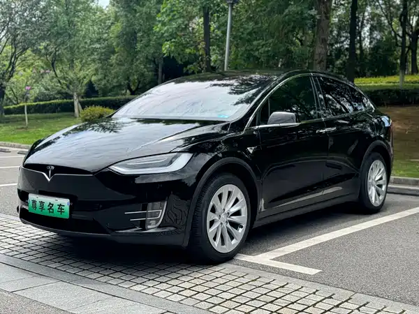 Tesla Model X 2019