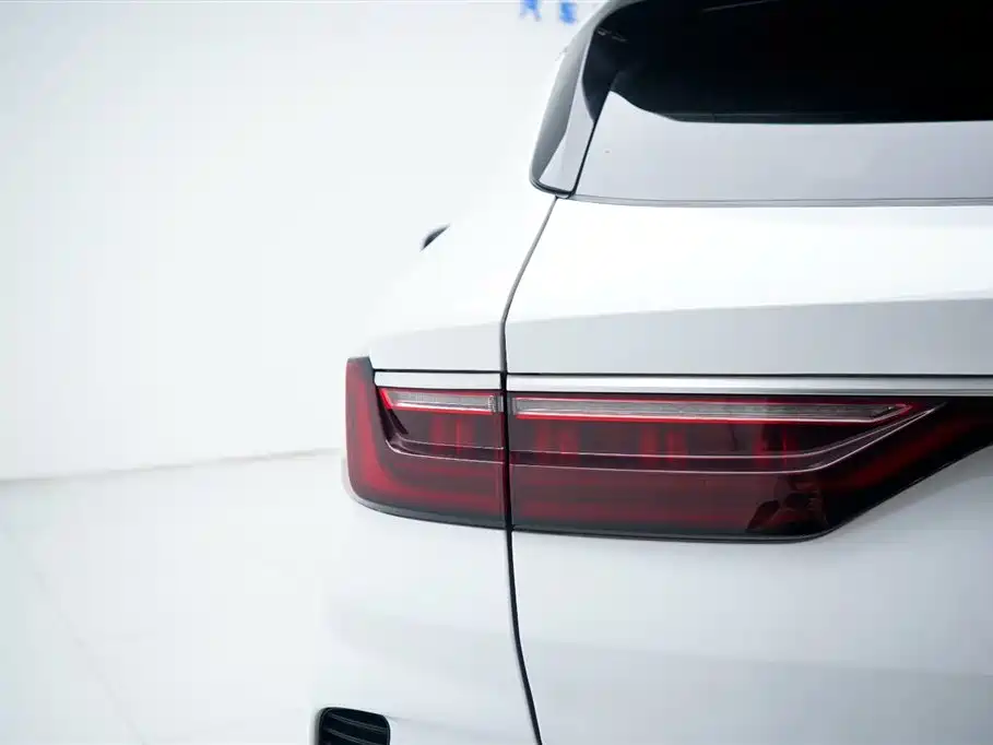 BYD PLUS New Energy 2023 — фото 21