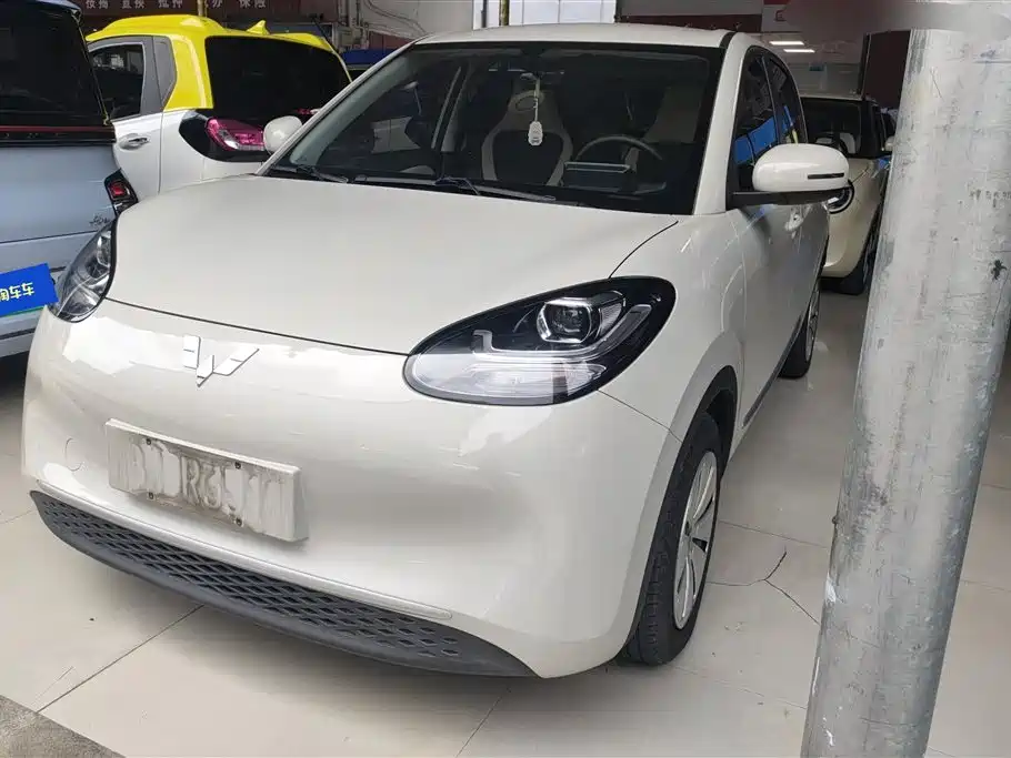 Wuling Bingo 2024