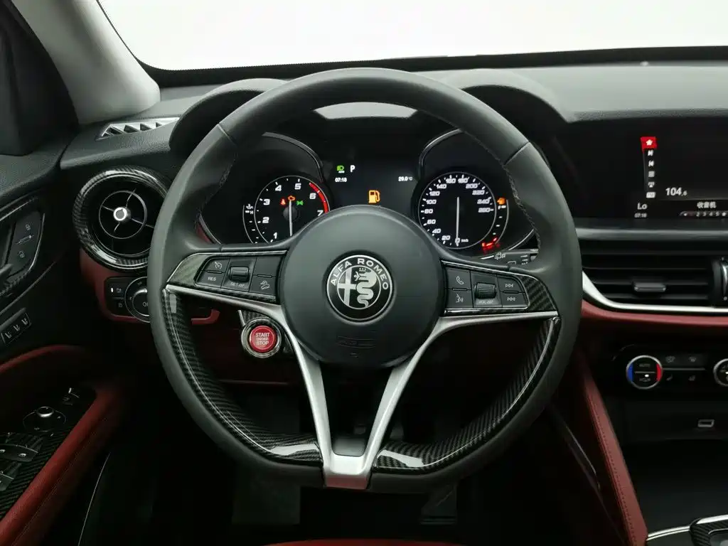 Alfa Romeo Stelvio 2019 — фото 11