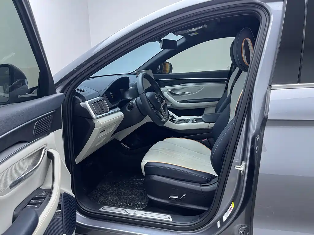 BYD PLUS New Energy 2023 — фото 11