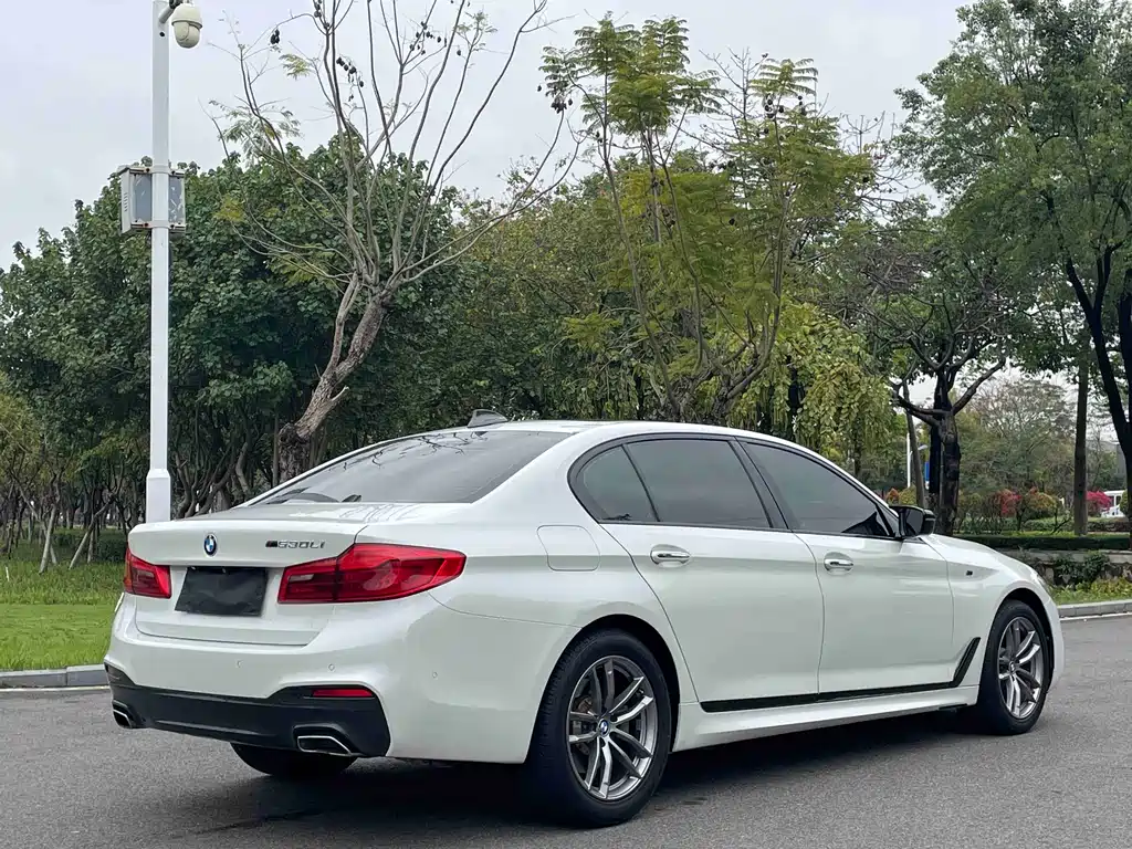 BMW 5 Series 2017 — фото 6