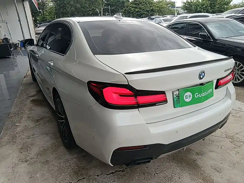 BMW 5 Series New Energy 2022