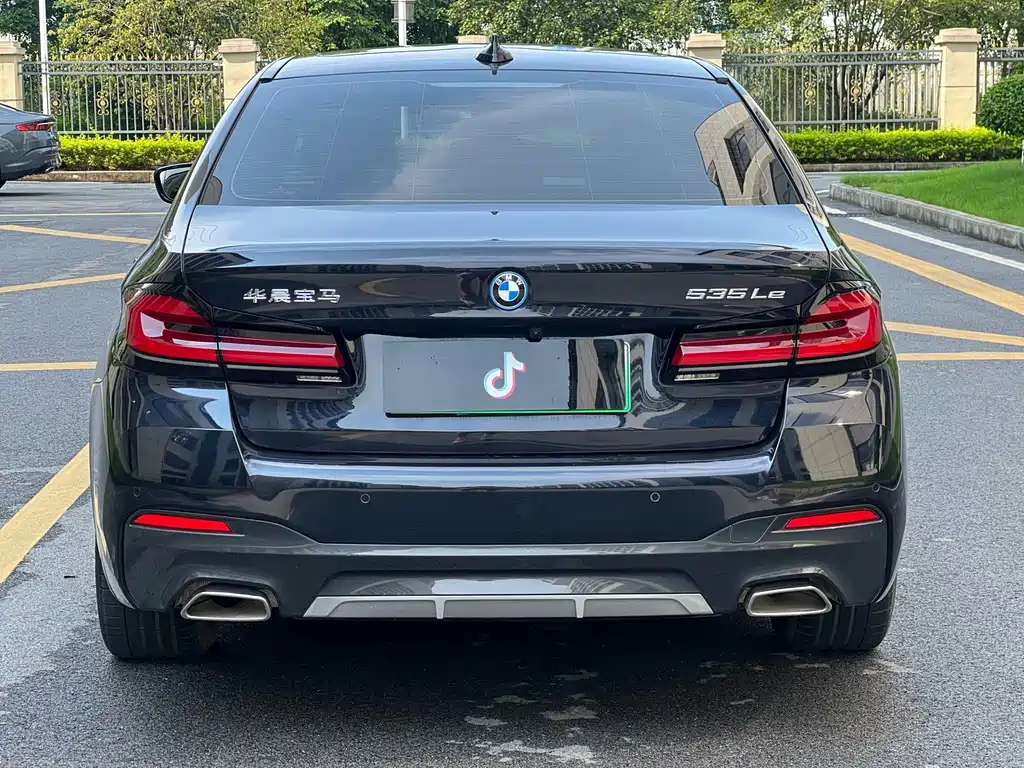 BMW 5 Series New Energy 2021