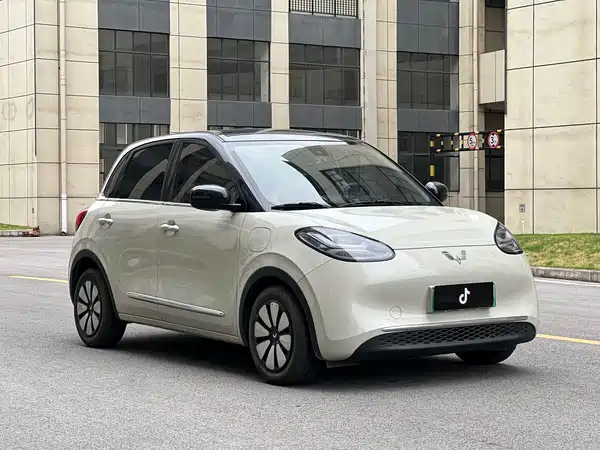 Wuling Bingo 2024