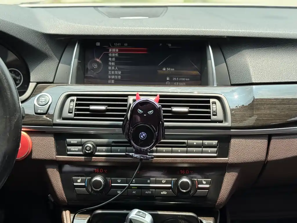 BMW 5 Series 2016 — фото 14