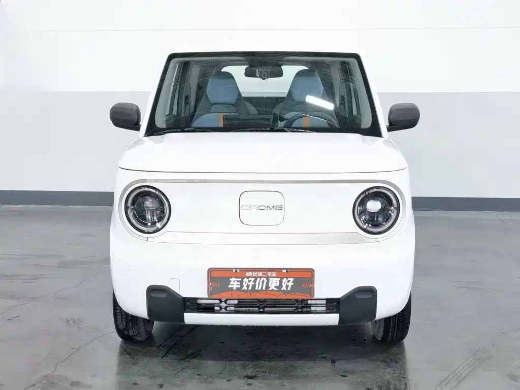 Galaxy Panda 2023