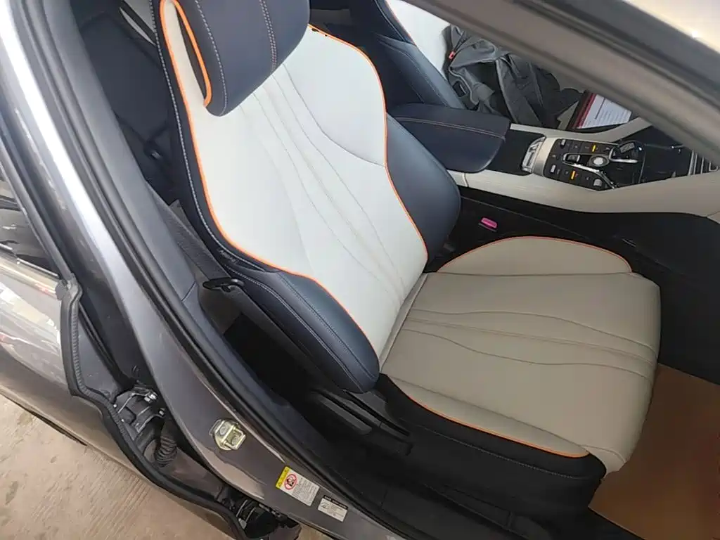 BYD Song PLUS New Energy 2022 — фото 25