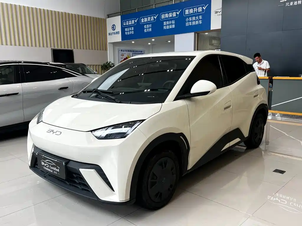 BYD Seagull 2024