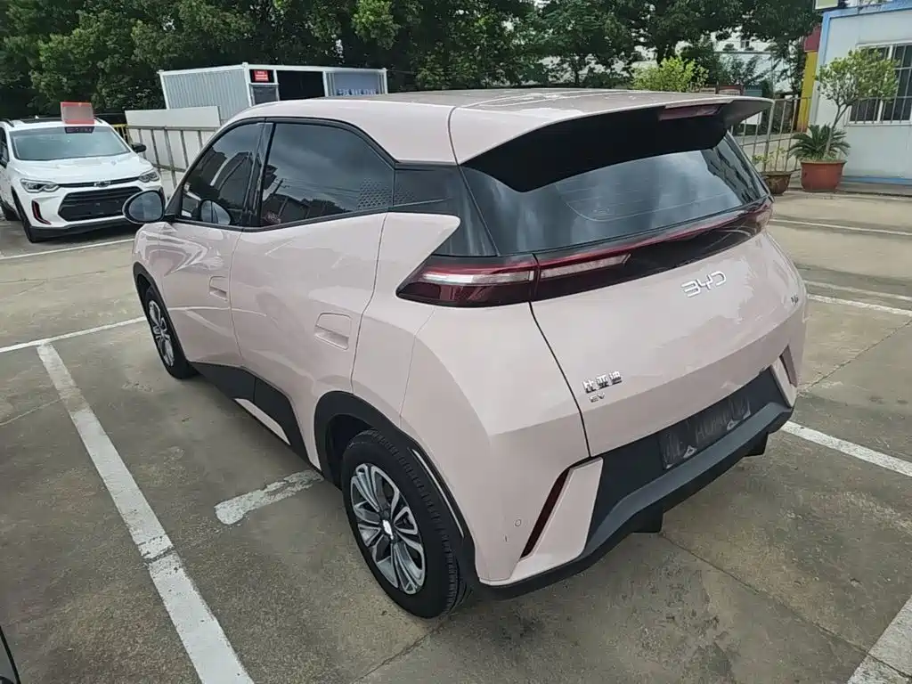 BYD Seagull 2024