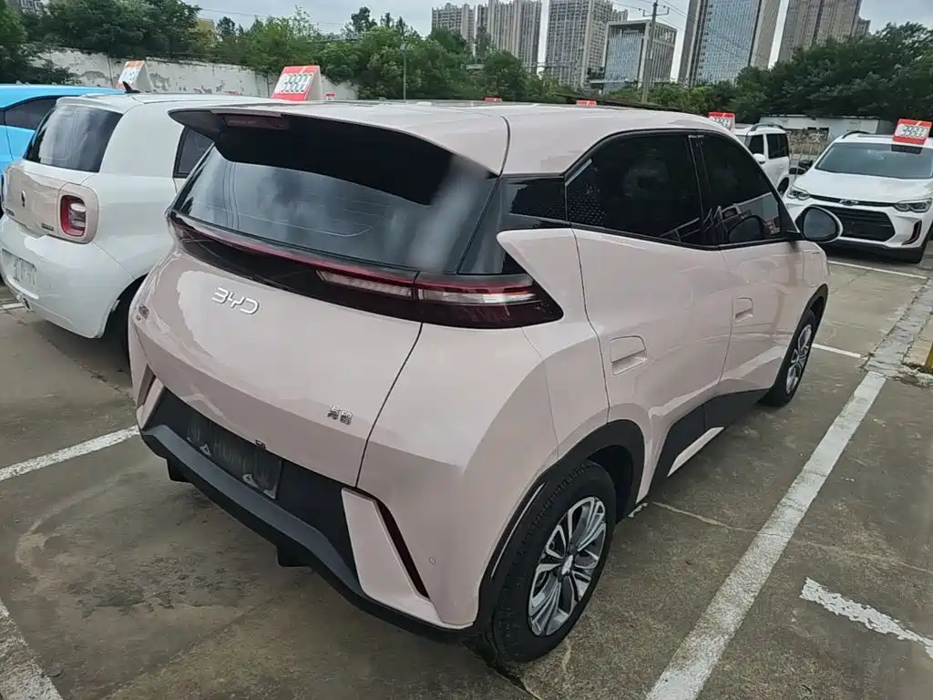 BYD Seagull 2024