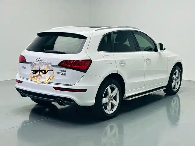 Audi Q5 2018 — фото 18