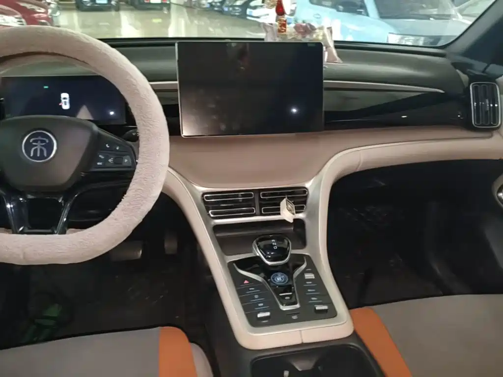 BYD Song Pro New Energy 2024 — фото 13