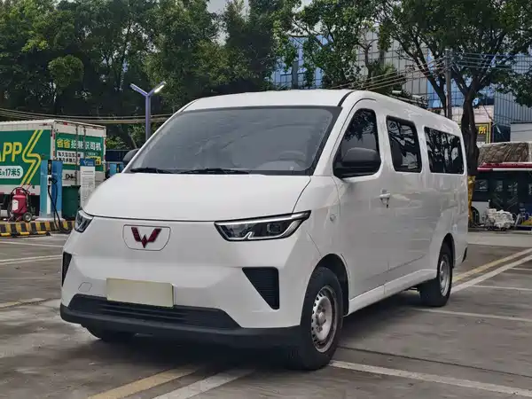 Wuling Yangguang 2025