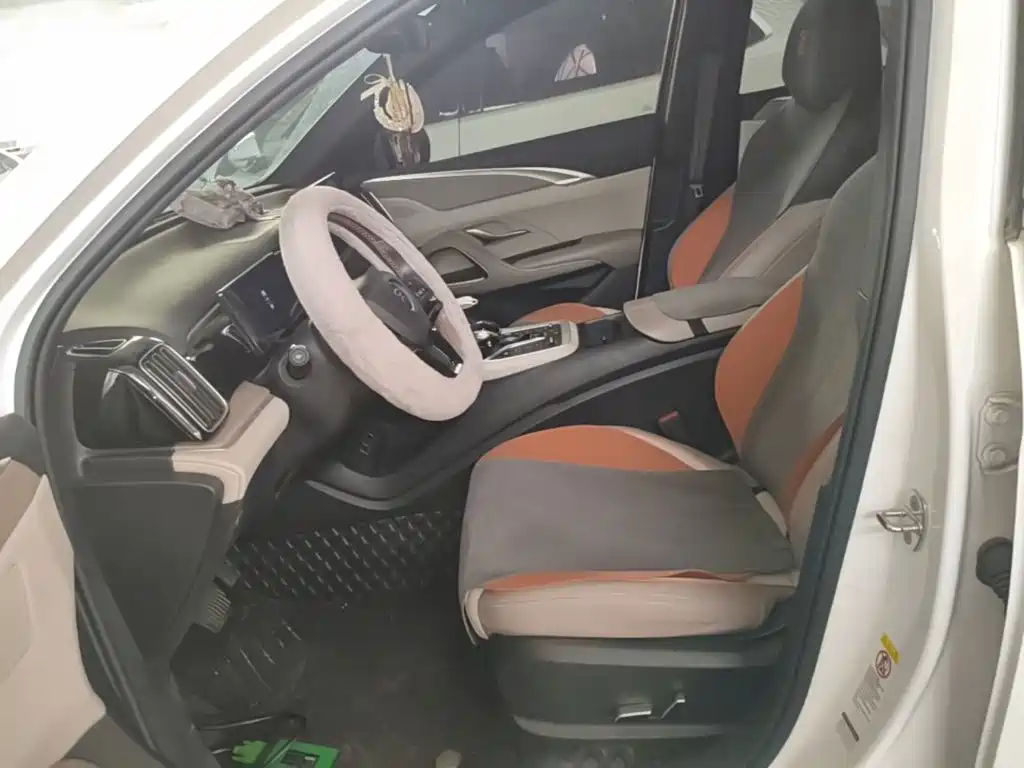 BYD Song Pro New Energy 2024 — фото 15