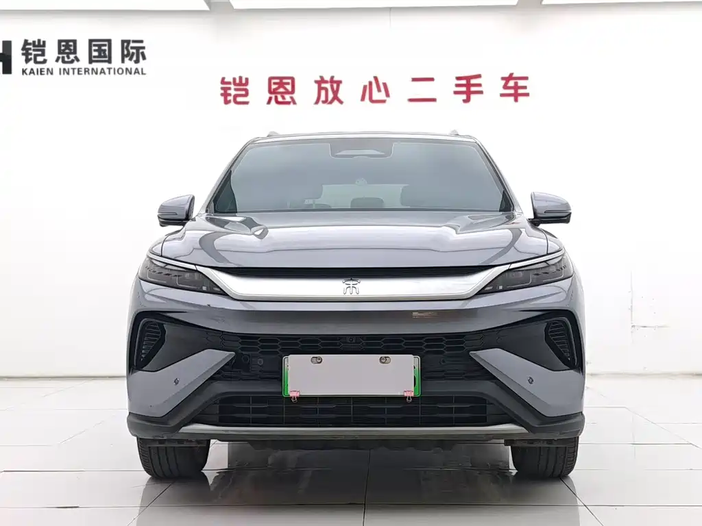 BYD Pro New Energy 2025 — фото 2