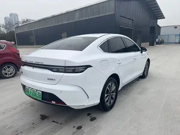 BYD Destroyer 05 2024