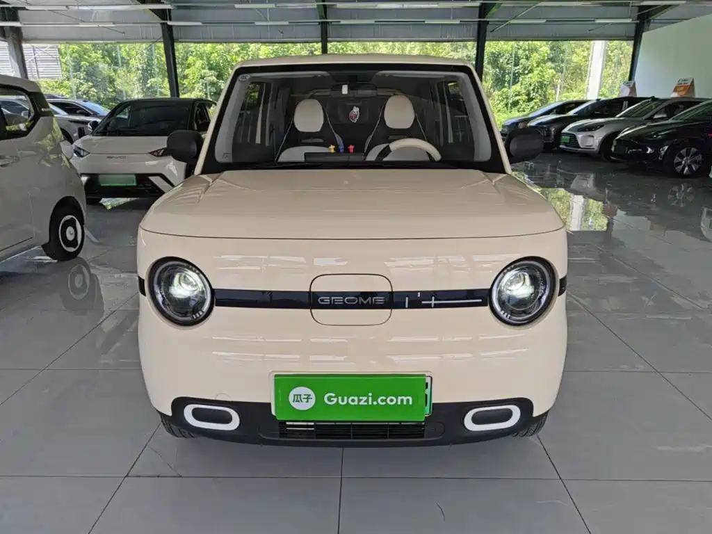 Geely Galaxy Panda 2025