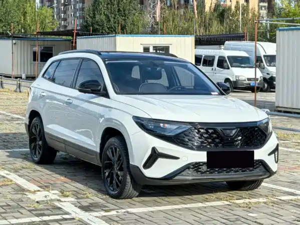 Jetta VS7 2022