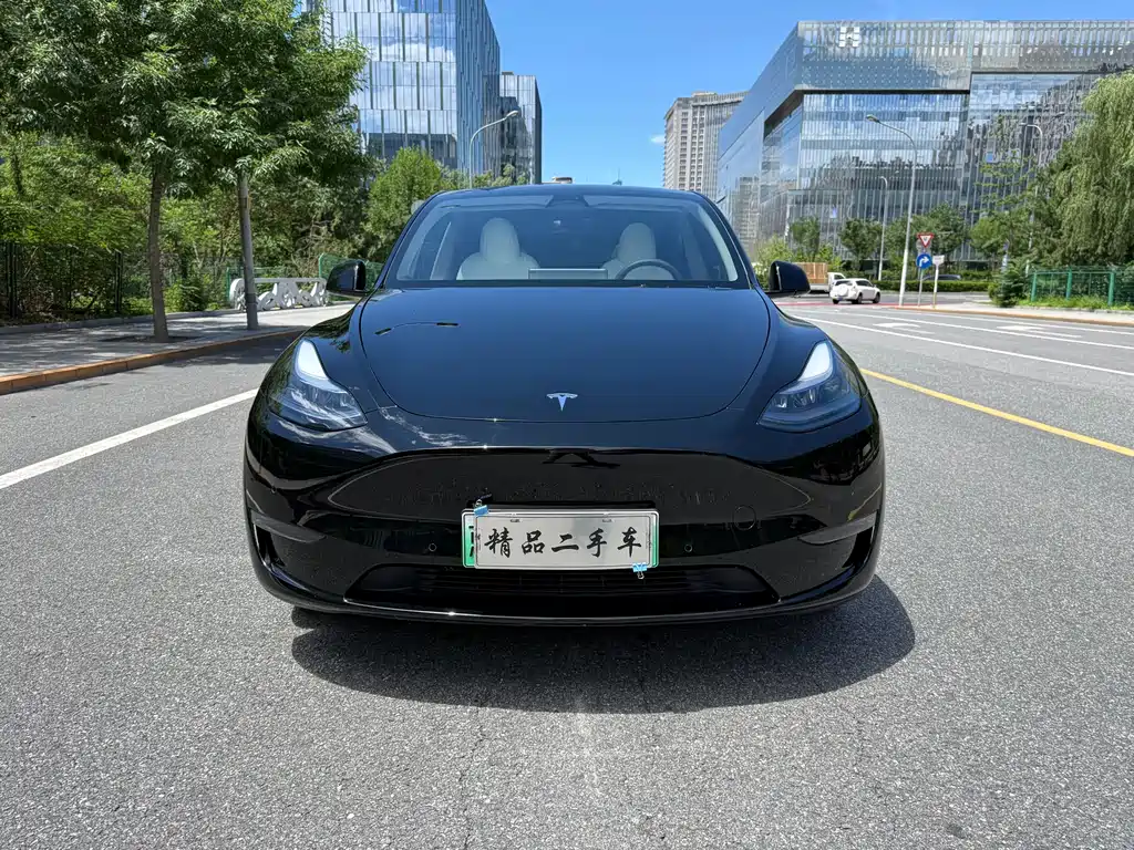 Tesla Model Y 2023 — фото 2