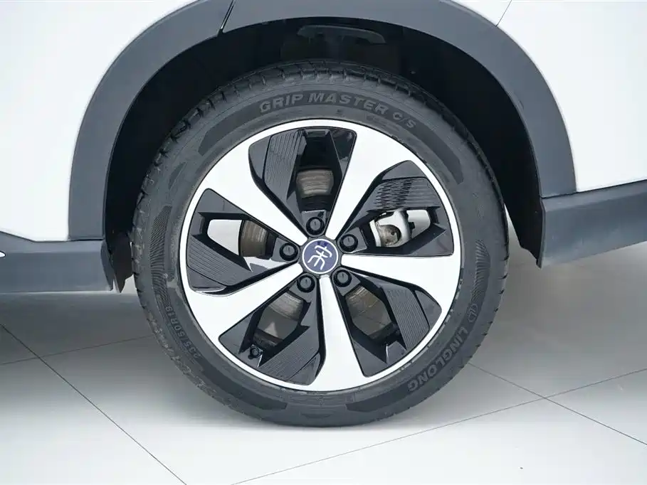 BYD PLUS New Energy 2023 — фото 20