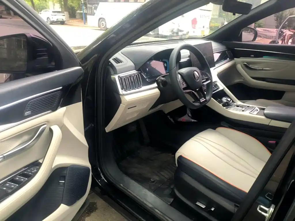 BYD PLUS New Energy 2022 — фото 12