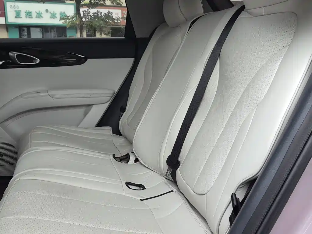 Geely Galaxy Starwish 2025 — фото 13