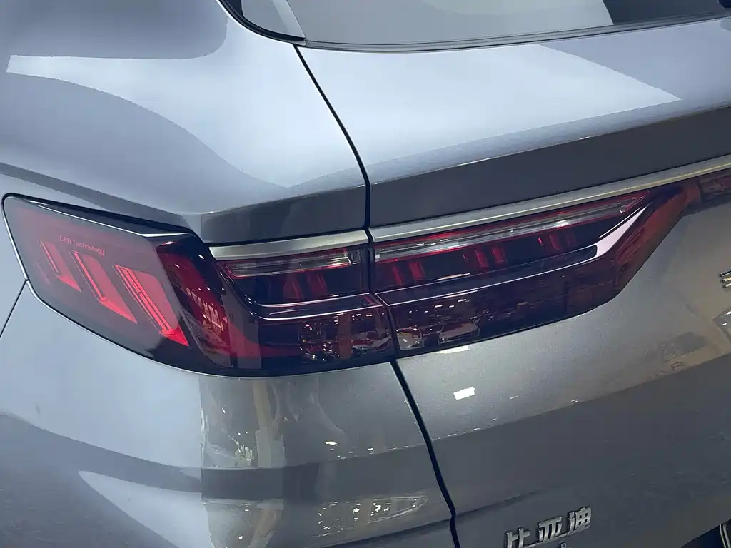 BYD PLUS New Energy 2023 — фото 10