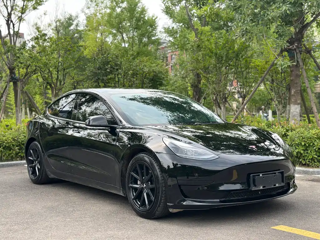 Tesla Model 3 2021 — фото 3