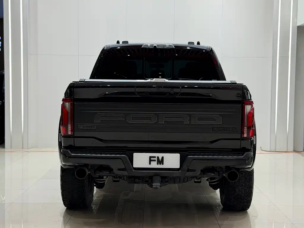 Ford F-150 Raptor 2023 — фото 19
