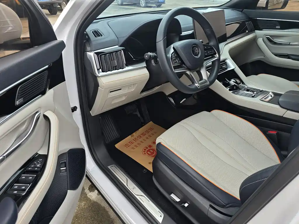BYD PLUS New Energy 2022 — фото 13