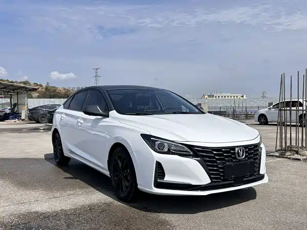Changan Ruicheng CC 2022