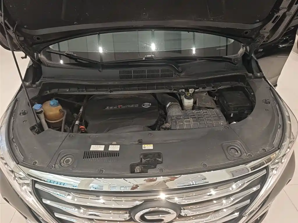 GAC Motor Trumpchi M8 2020 — фото 20