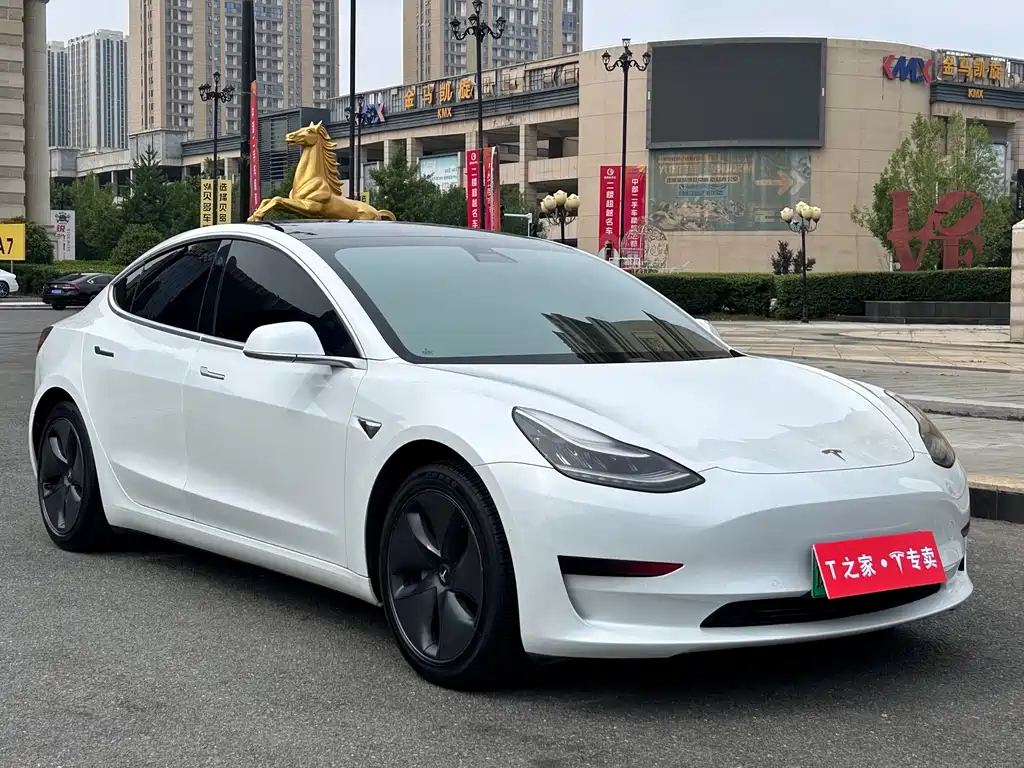 Tesla Model 3 2020 — фото 3