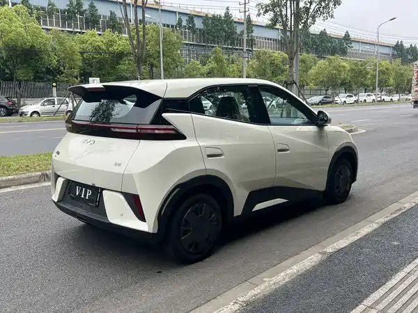 BYD Seagull 2025