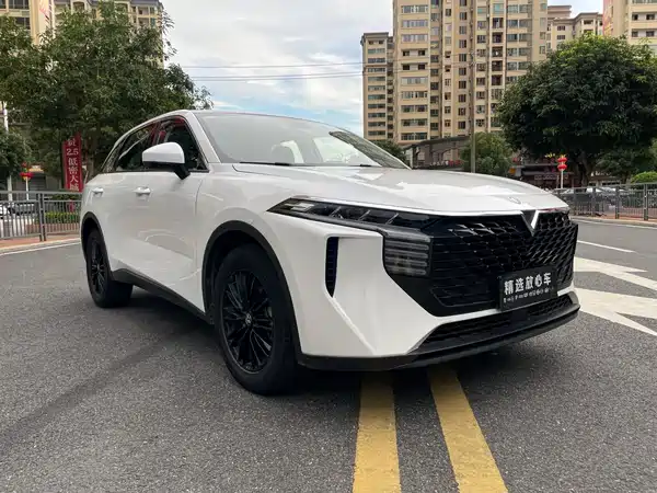 Venucia Big V 2023