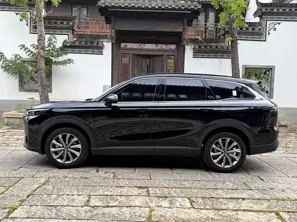 Chery Fengyun T9 2025
