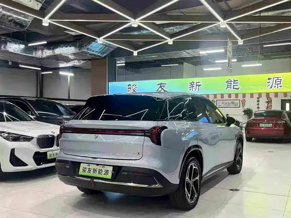 Neta L 2024