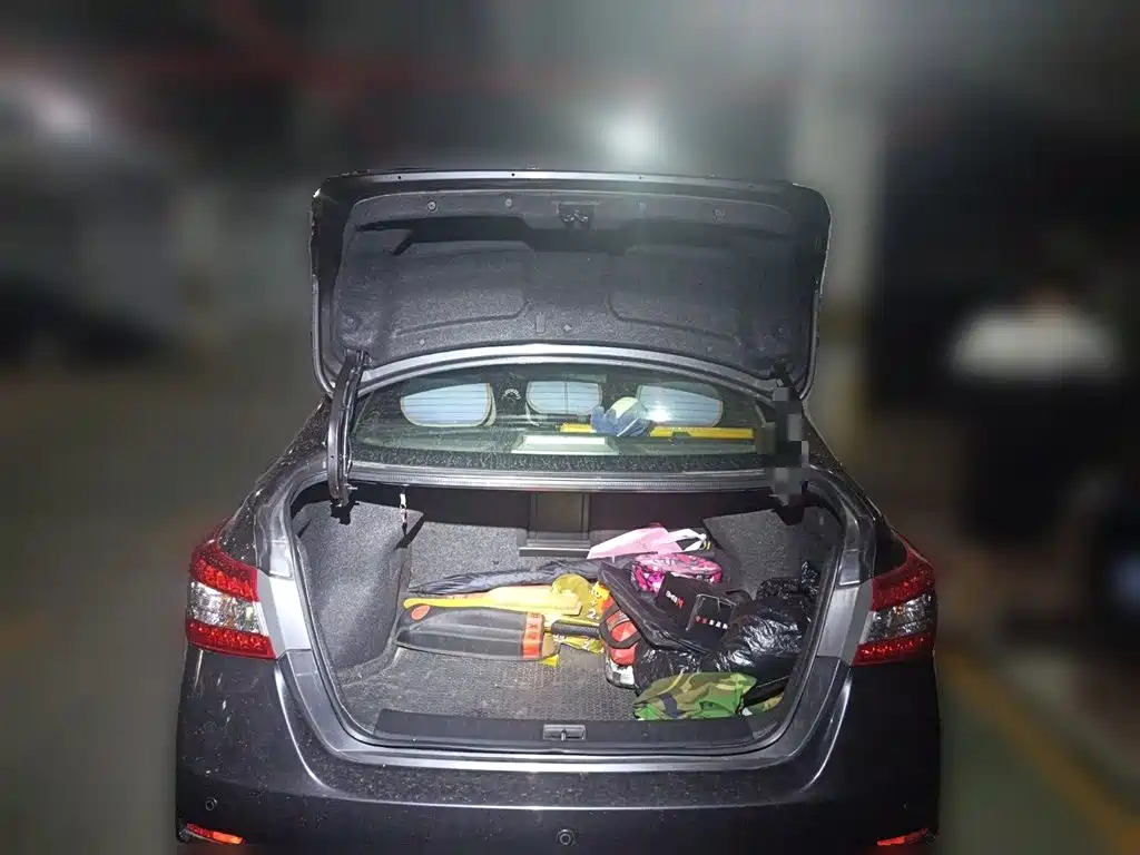 Nissan Sylphy 2014 — фото 16