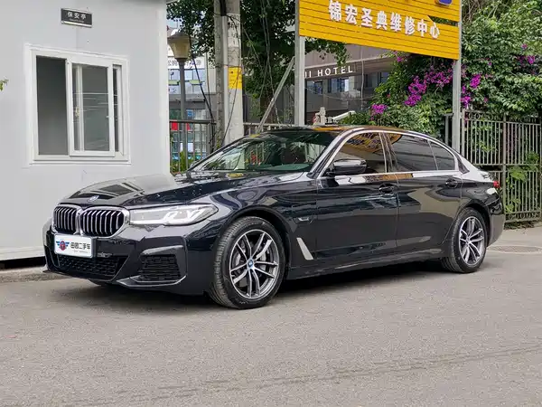 BMW 5 Series New Energy 2021