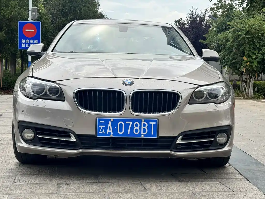 BMW 5 Series 2013